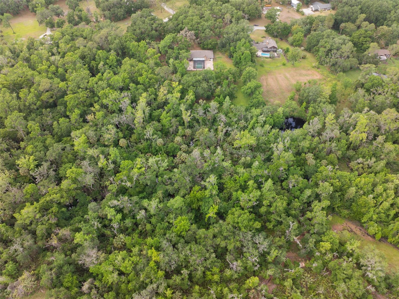 6340 NELMS RD E, LAKELAND, FL, 33811