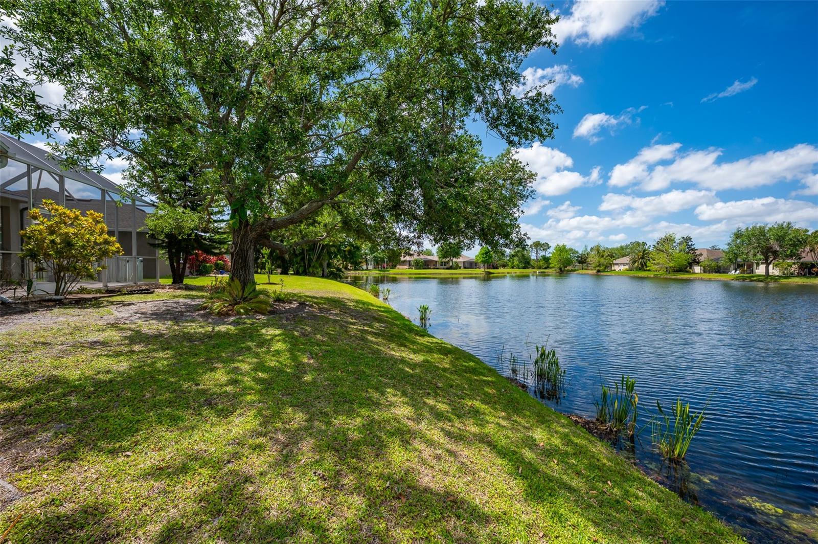 14214 CATTLE EGRET PL, LAKEWOOD RANCH, FL, 34202