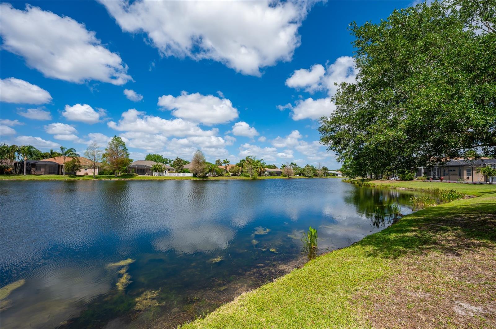 14214 CATTLE EGRET PL, LAKEWOOD RANCH, FL, 34202