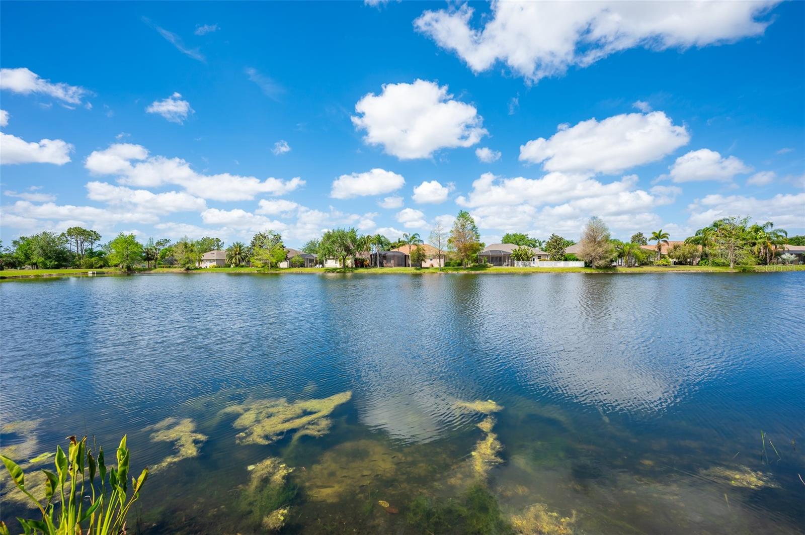 14214 CATTLE EGRET PL, LAKEWOOD RANCH, FL, 34202