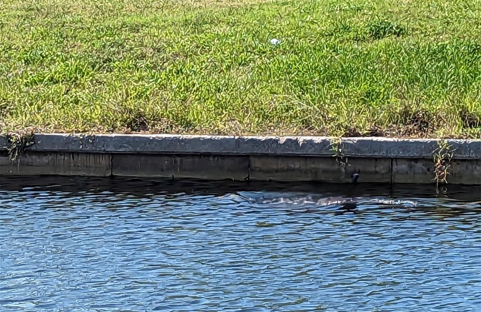 1442 SW 54TH TER, CAPE CORAL, FL, 33914