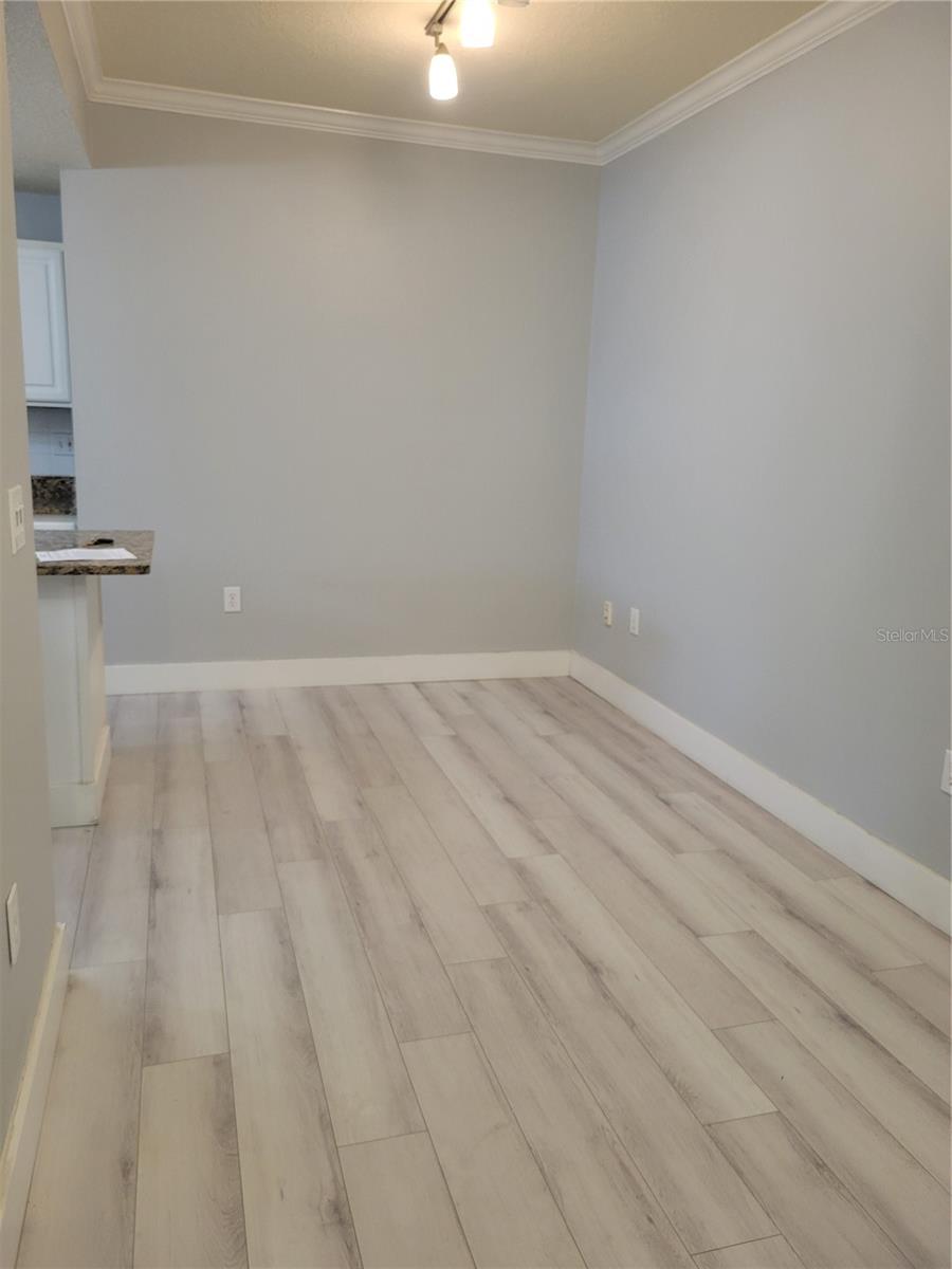 501 KNIGHTS RUN AVE #1113, TAMPA, FL, 33602