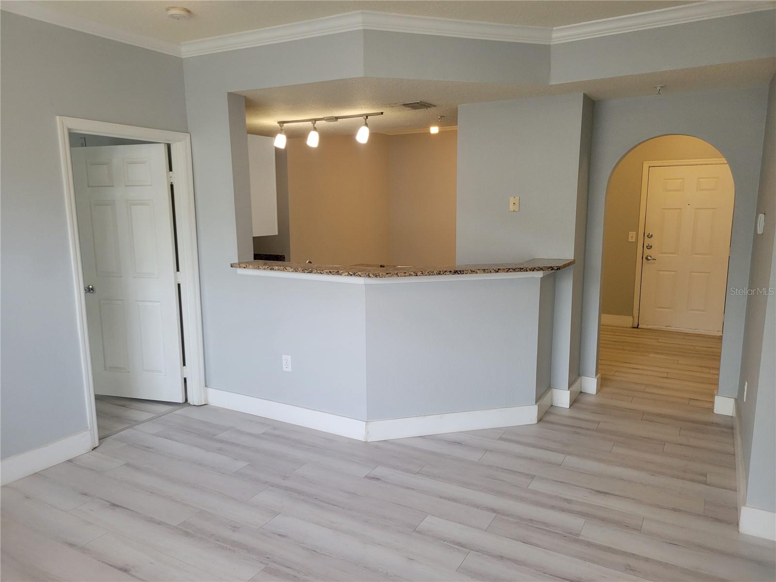 501 KNIGHTS RUN AVE #1113, TAMPA, FL, 33602