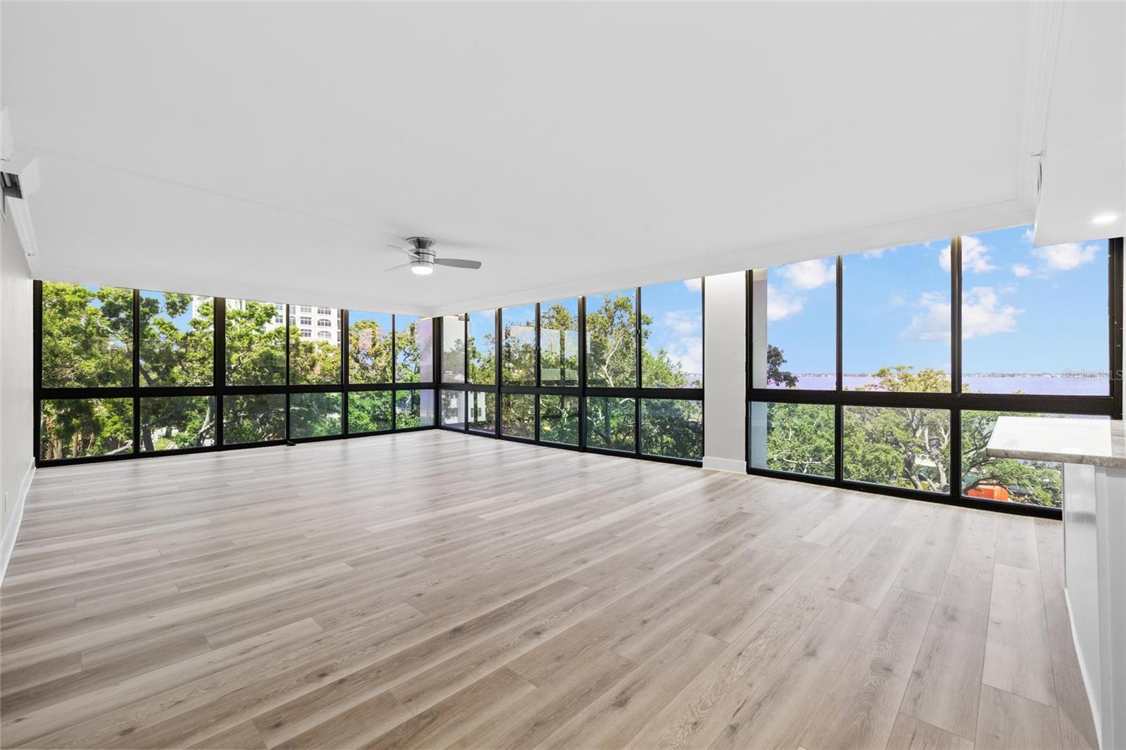3301 BAYSHORE BLVD #503, TAMPA, FL, 33629