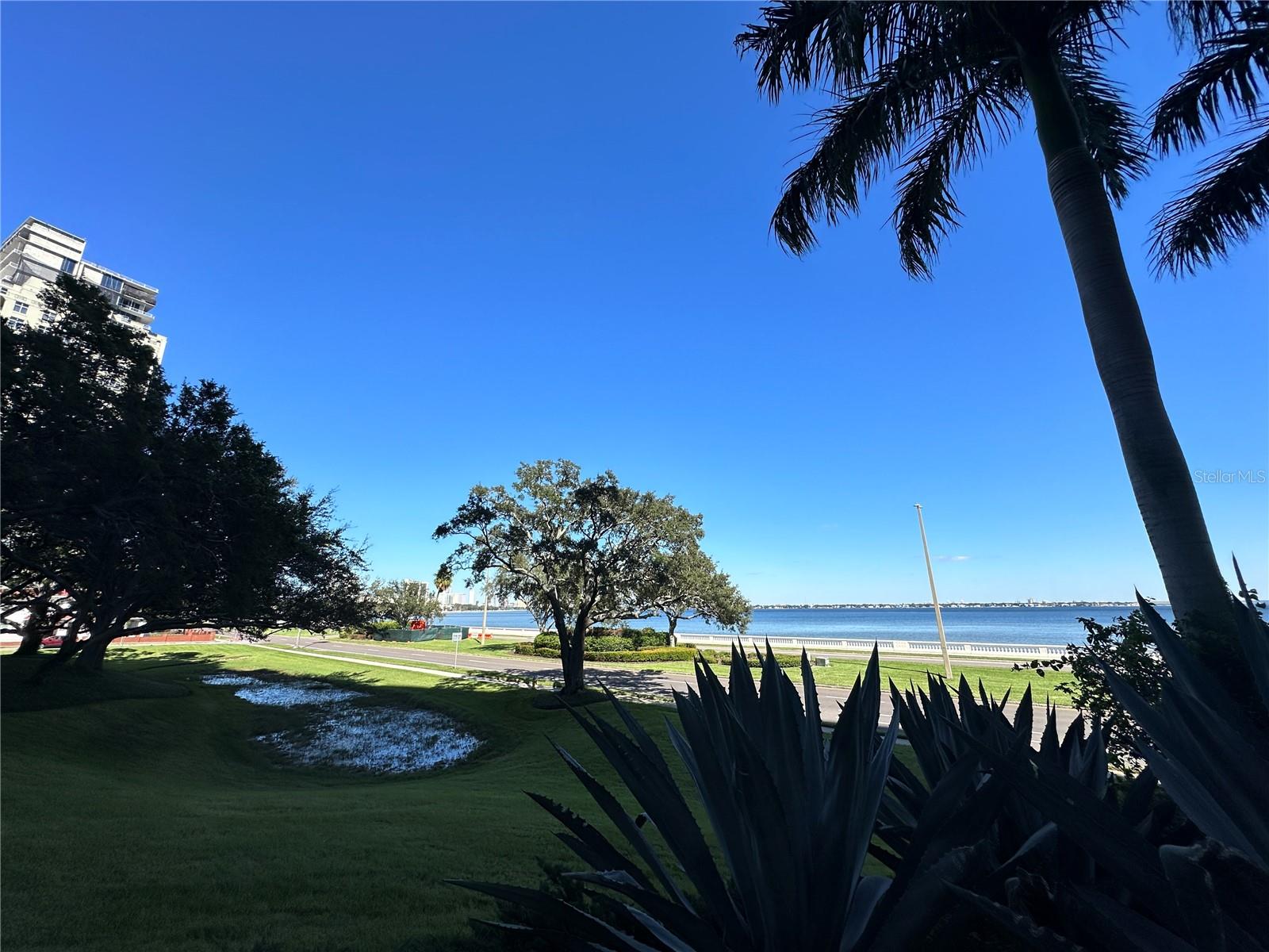 3301 BAYSHORE BLVD #503, TAMPA, FL, 33629