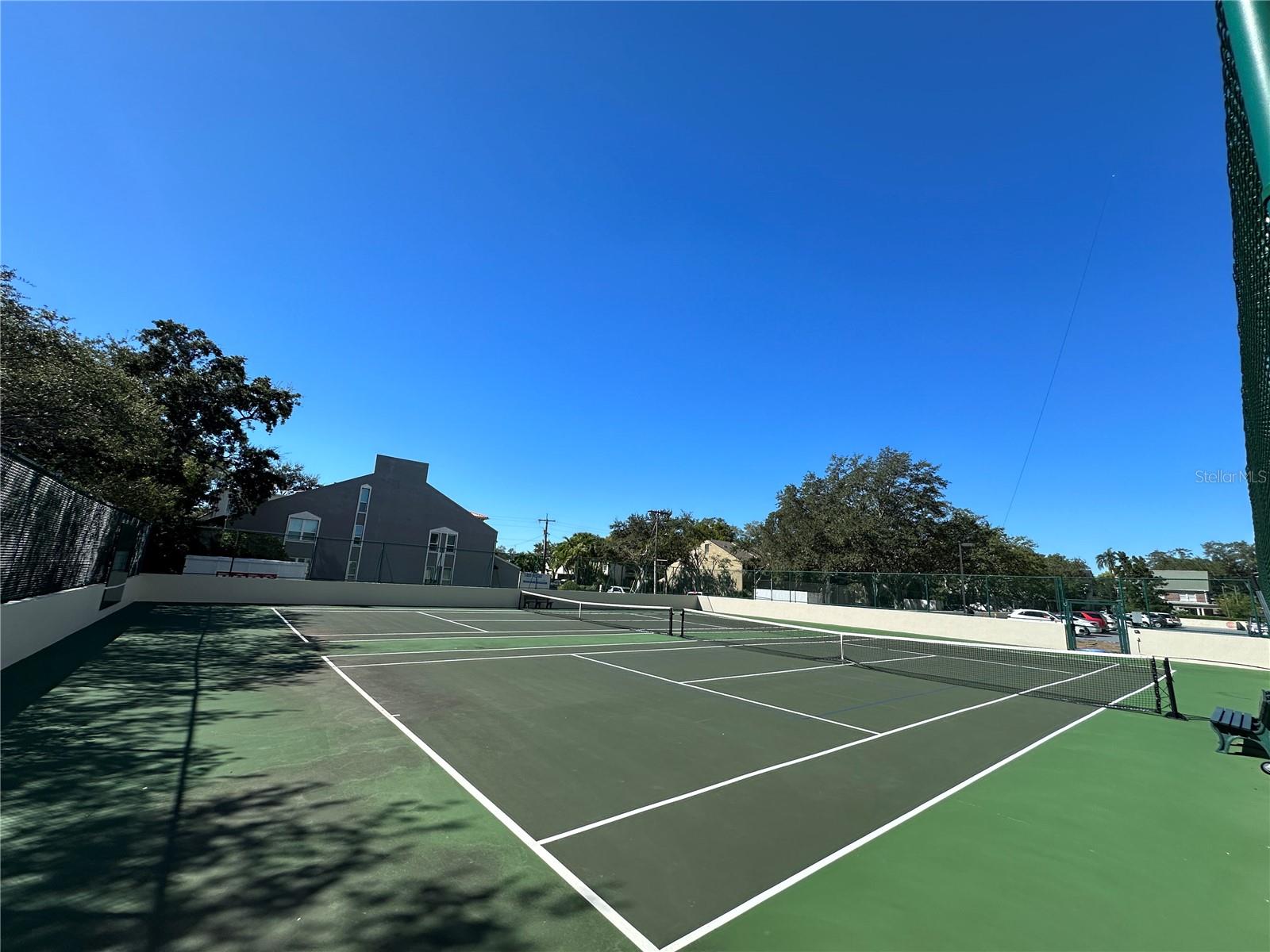 3301 BAYSHORE BLVD #503, TAMPA, FL, 33629