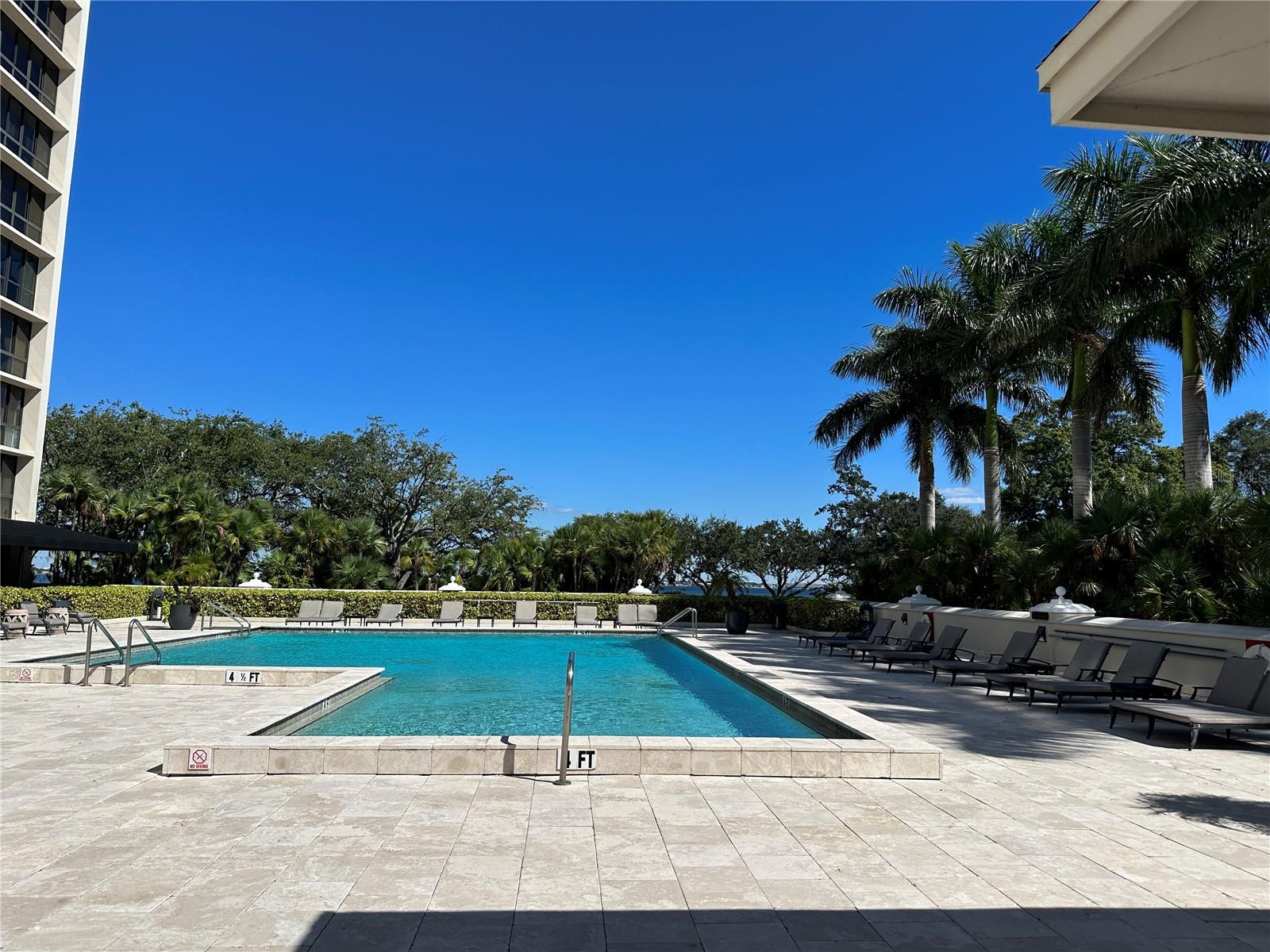 3301 BAYSHORE BLVD #503, TAMPA, FL, 33629