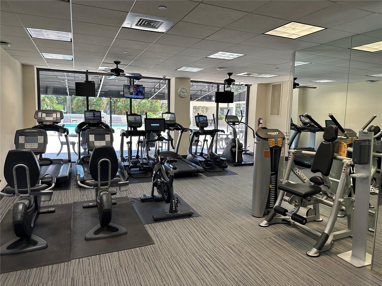 3301 BAYSHORE BLVD #503, TAMPA, FL, 33629