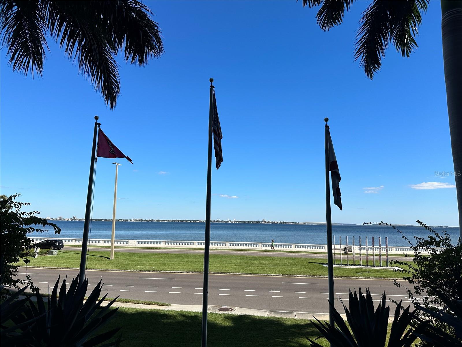 3301 BAYSHORE BLVD #503, TAMPA, FL, 33629