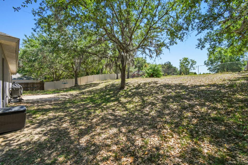1337 OAK VALLEY BLVD, MINNEOLA, FL, 34715