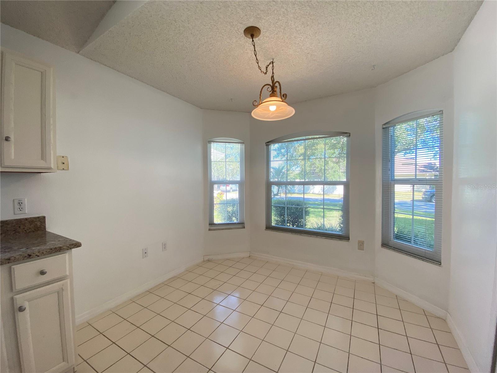 11729 HATCHER CIR, ORLANDO, FL, 32824