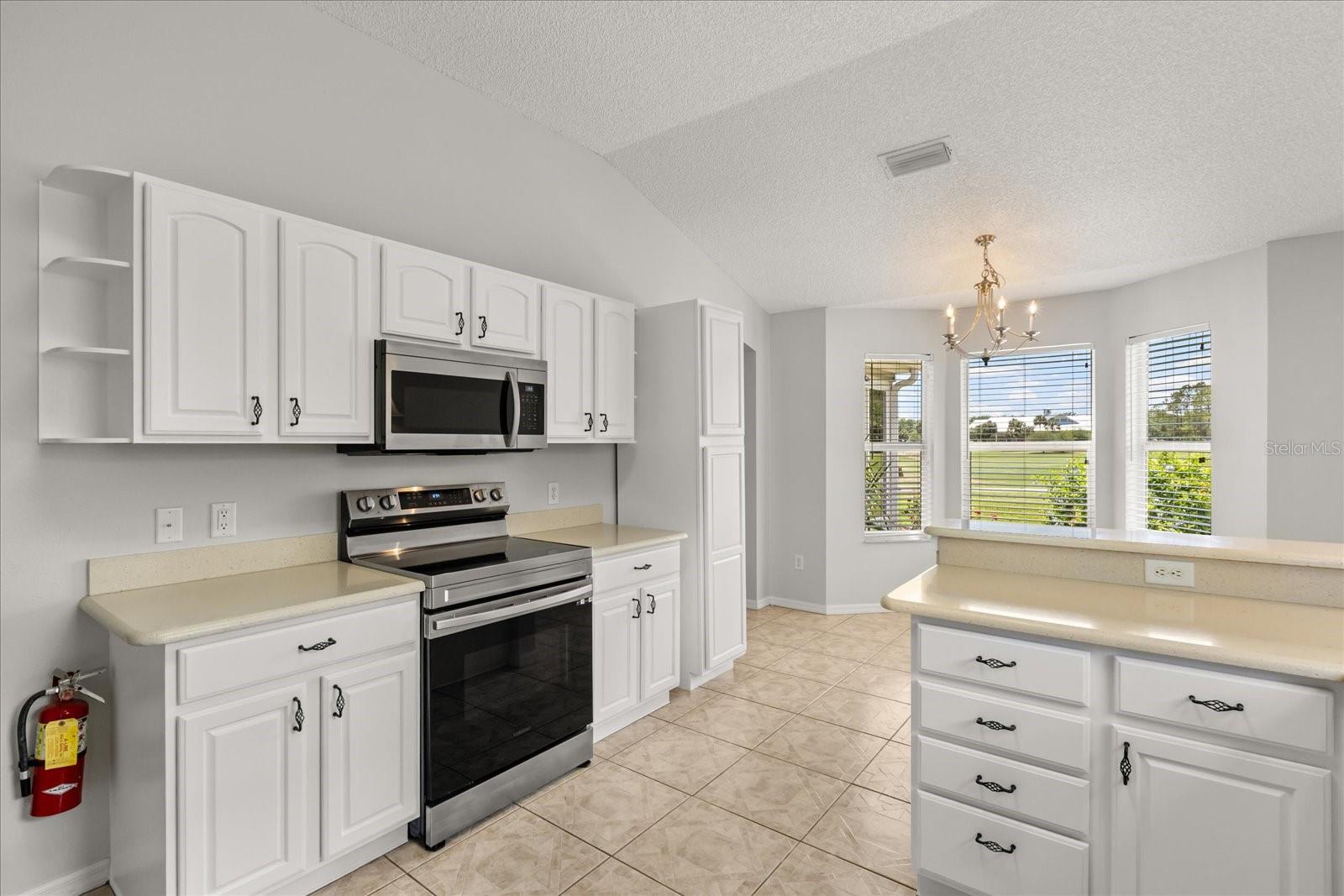 2204 MARGARITA DR, THE VILLAGES, FL, 32159