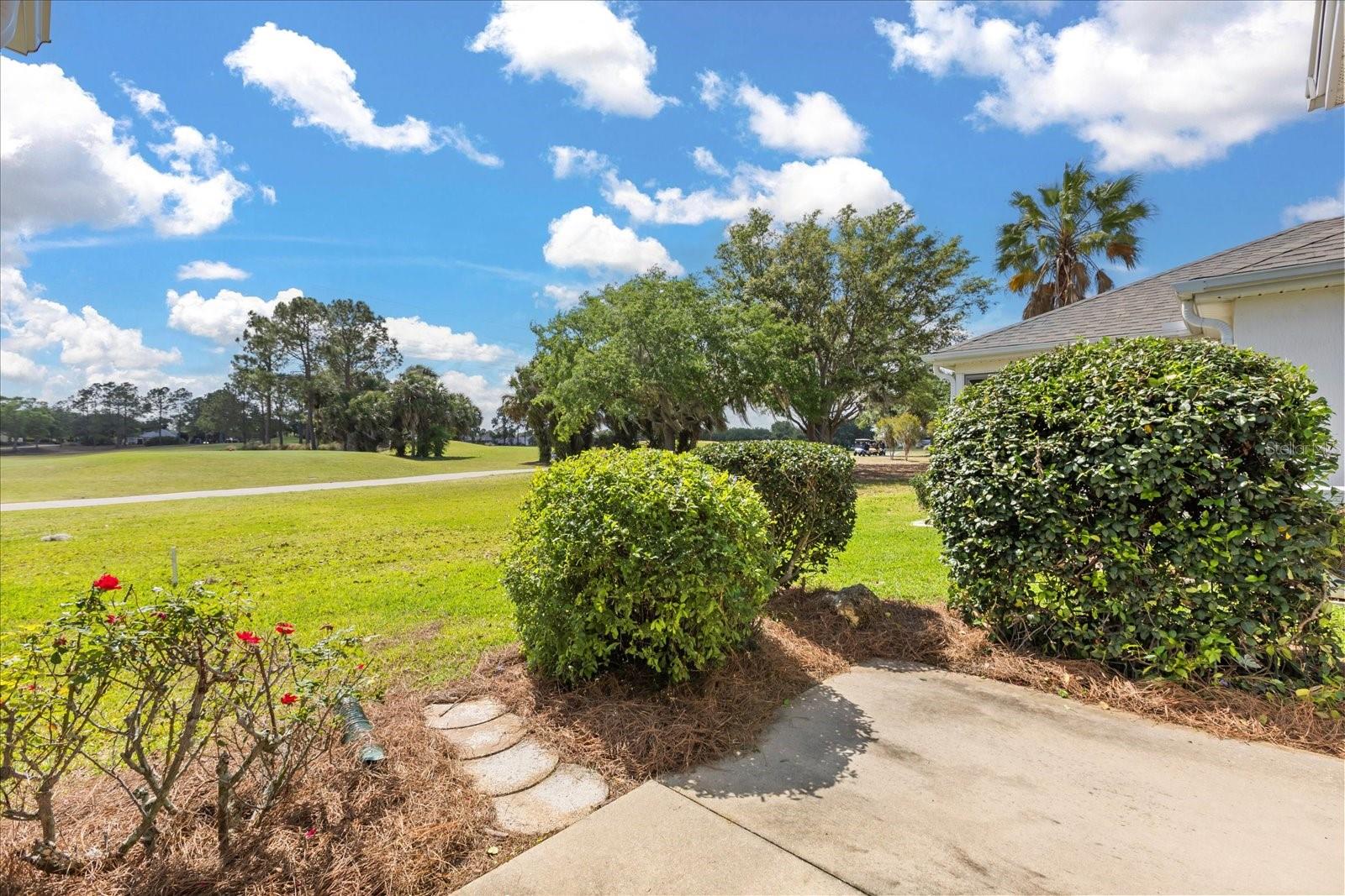 2204 MARGARITA DR, THE VILLAGES, FL, 32159