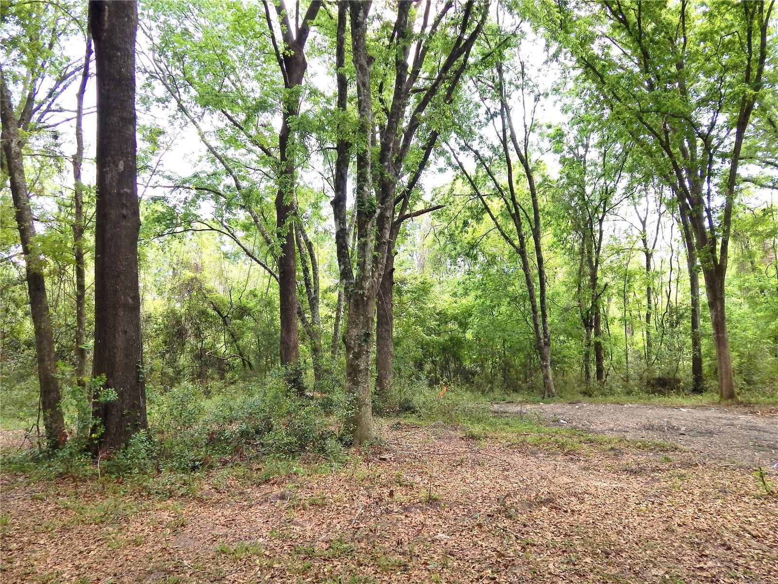 352 SE HAPPY VALLEY GLN, HIGH SPRINGS, FL, 32643