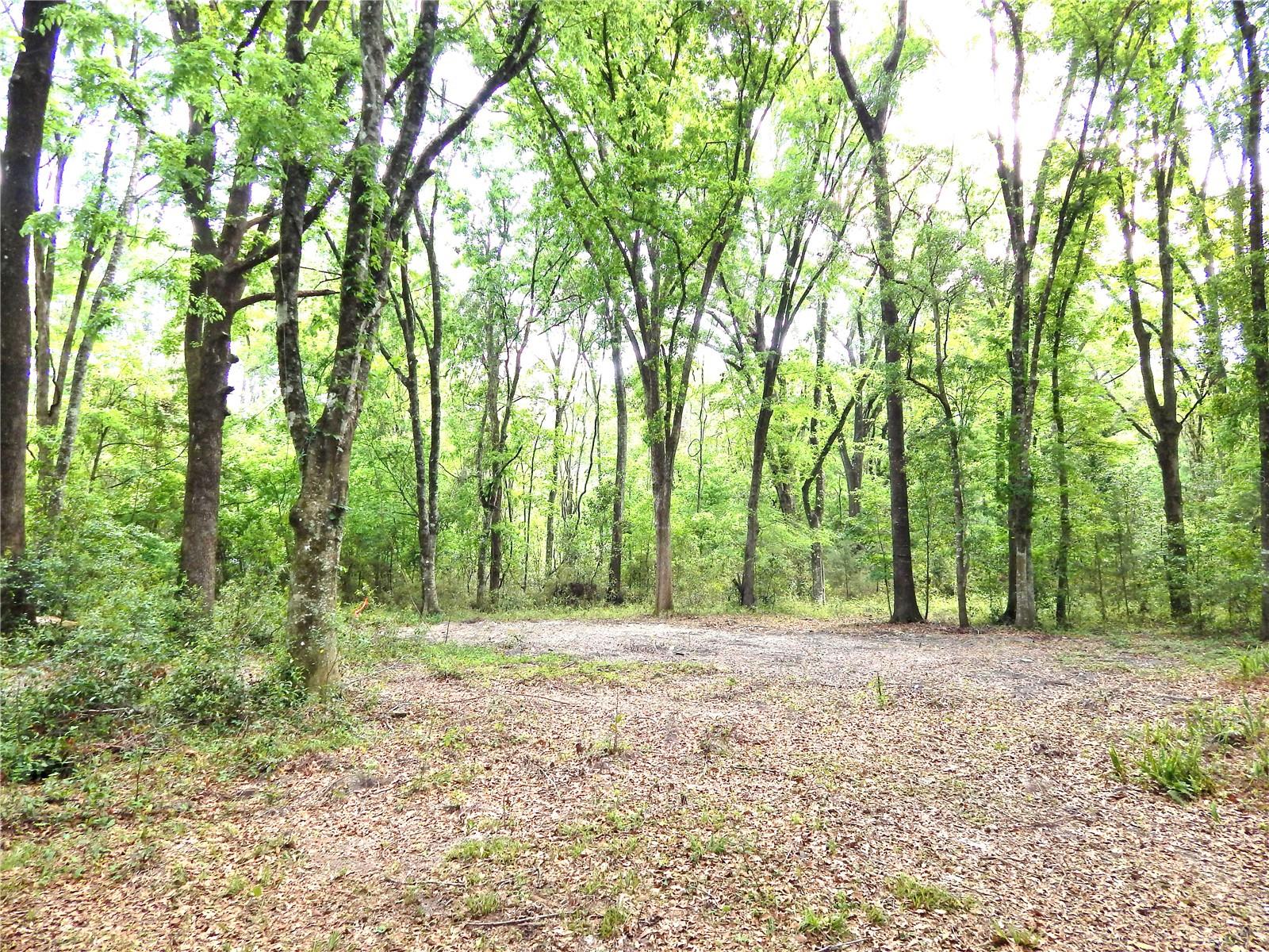 352 SE HAPPY VALLEY GLN, HIGH SPRINGS, FL, 32643