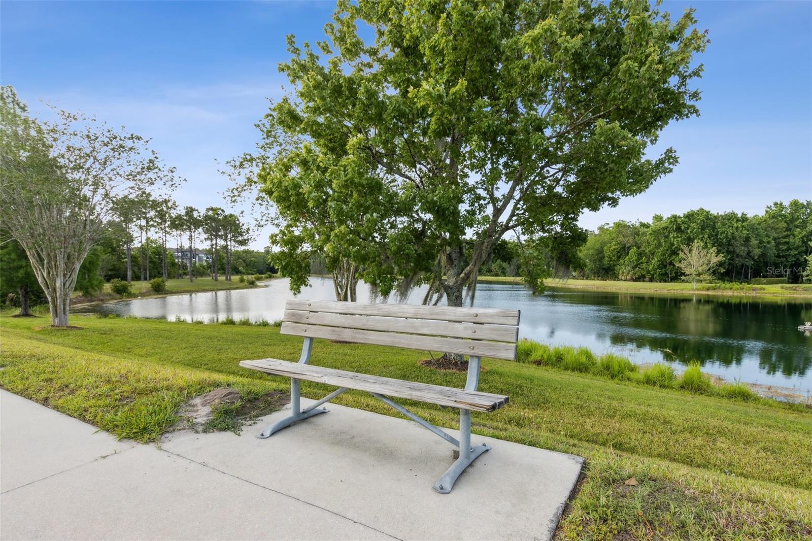 1825 SAFFRON PLUM LN, ORLANDO, FL, 32828