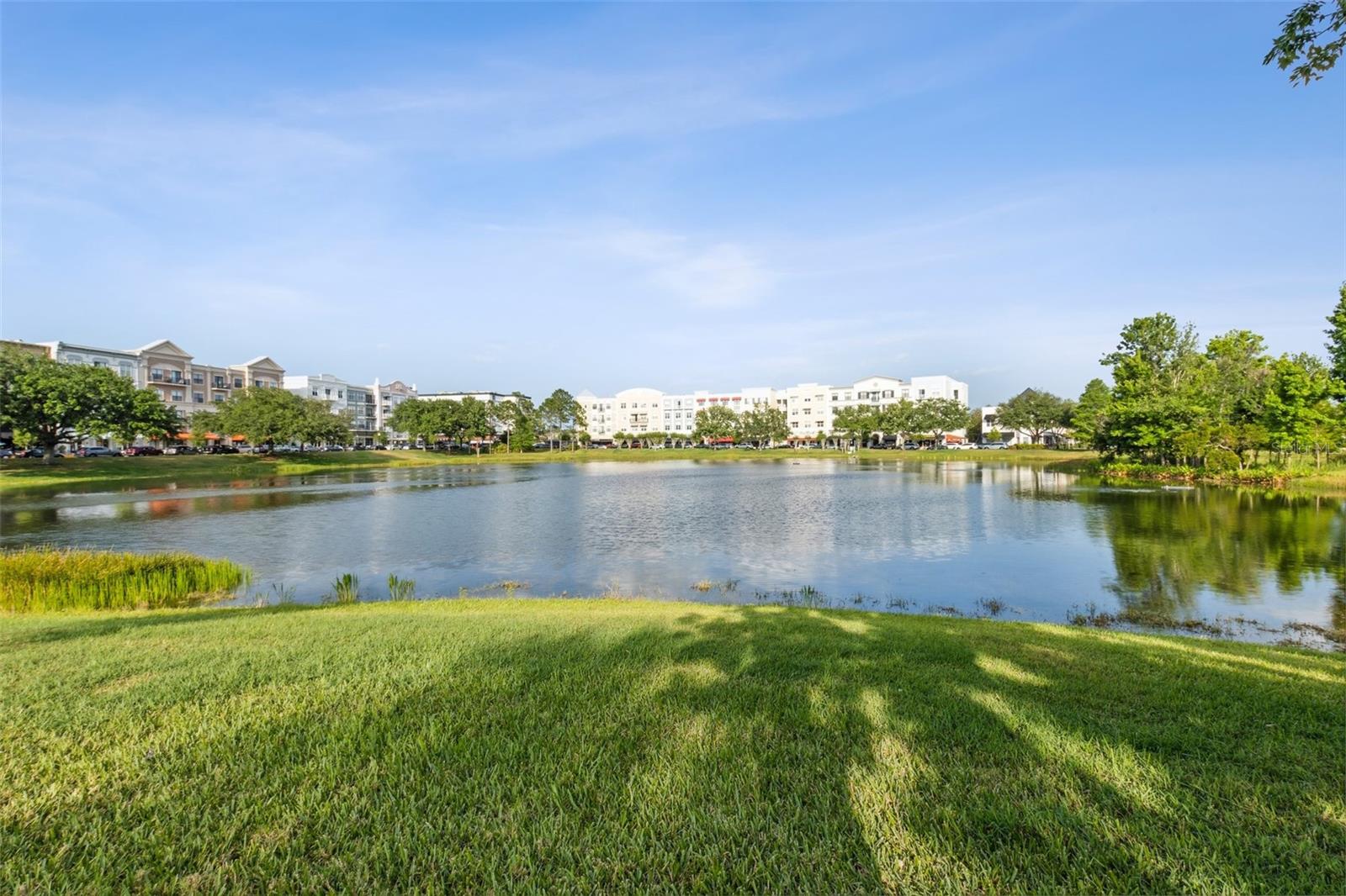 1825 SAFFRON PLUM LN, ORLANDO, FL, 32828