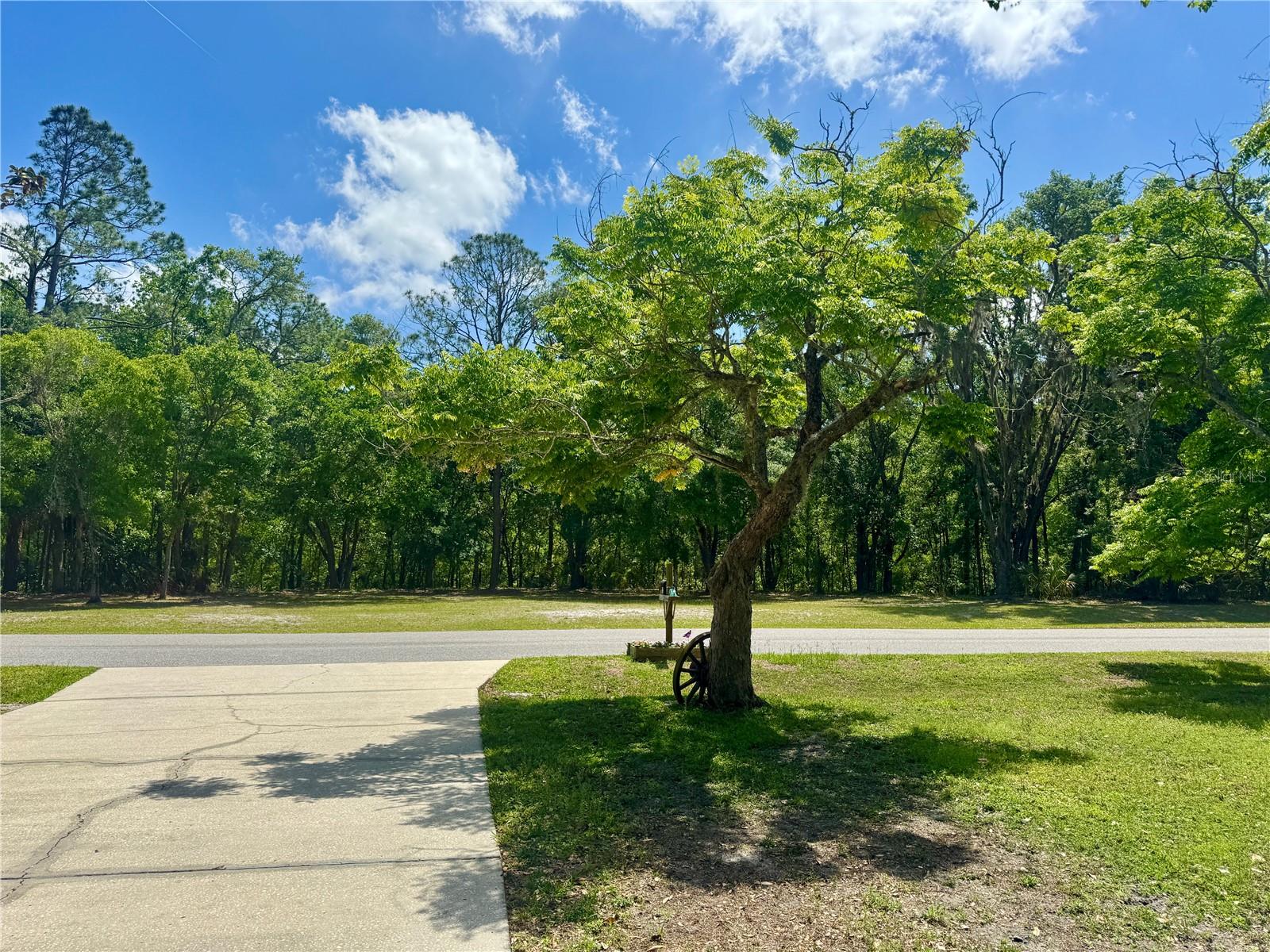 5221 SWALLOW DR, LAND O LAKES, FL, 34639
