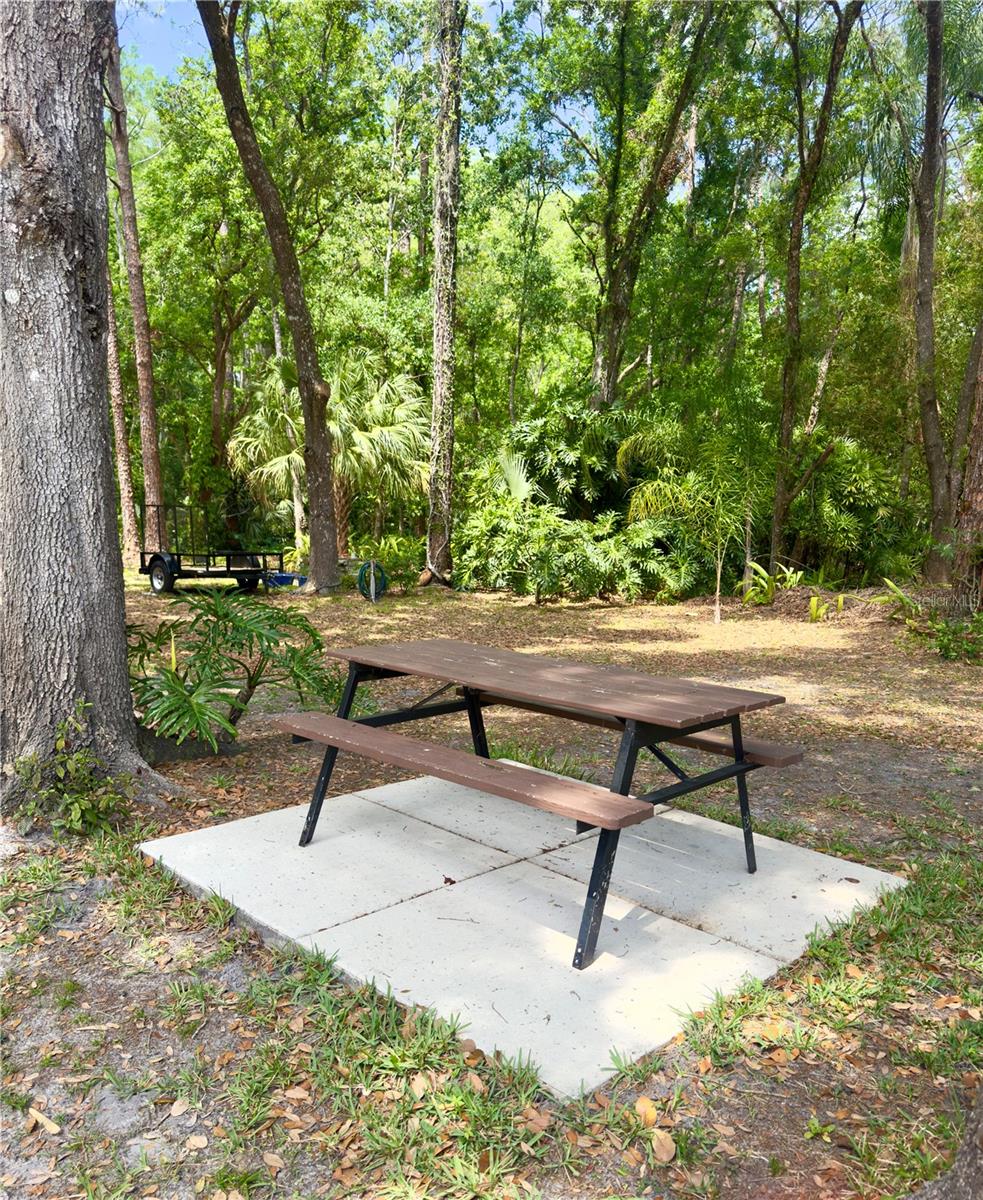 5221 SWALLOW DR, LAND O LAKES, FL, 34639
