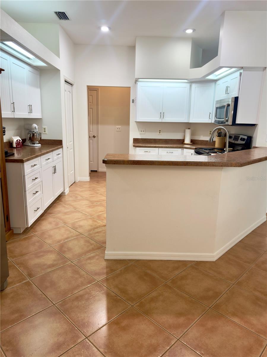 5221 SWALLOW DR, LAND O LAKES, FL, 34639