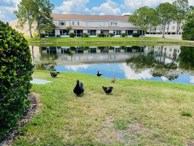 6007 BAYSIDE KEY DR, TAMPA, FL, 33615