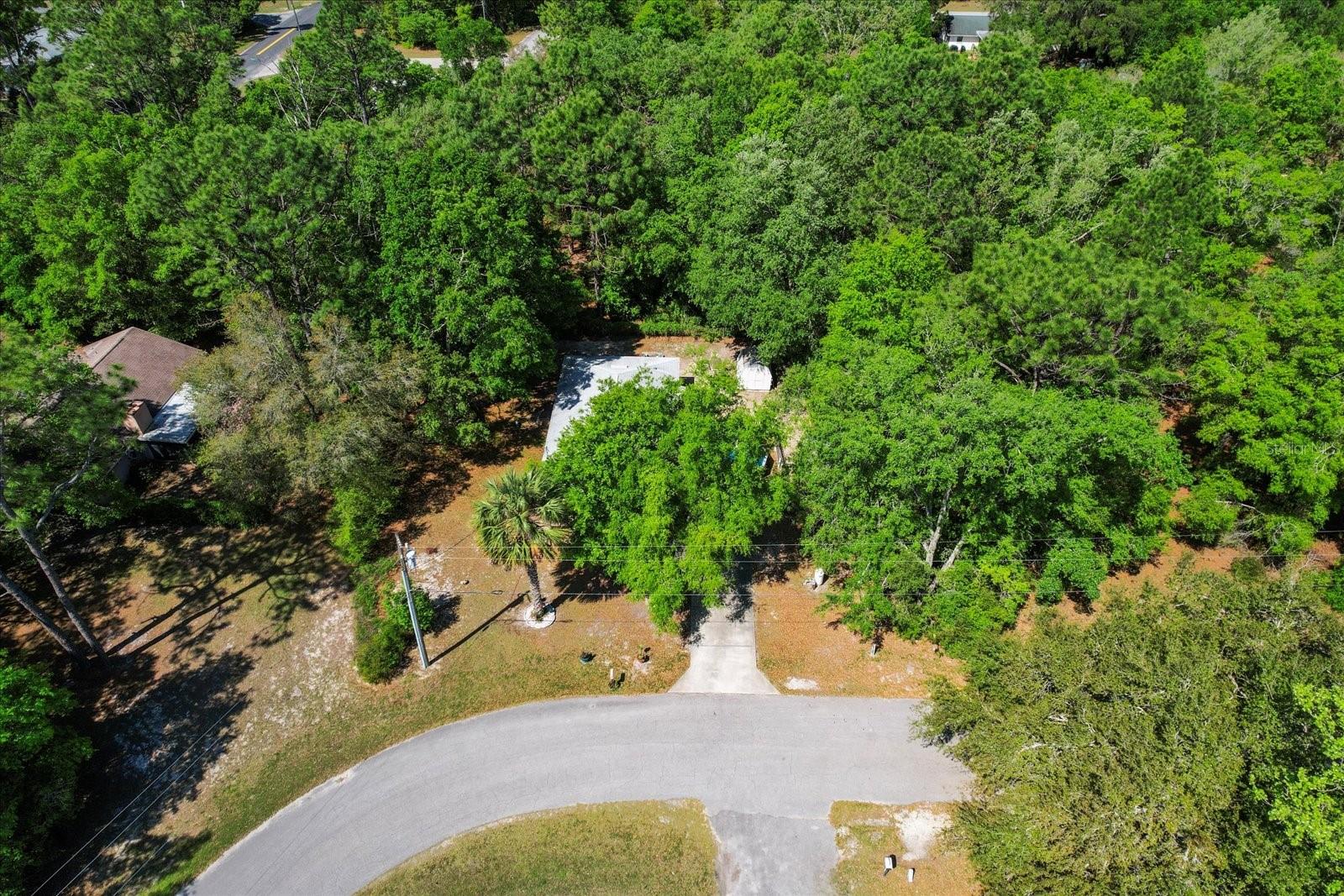 8570 N DISCALFANI LOOP, CRYSTAL RIVER, FL, 34428