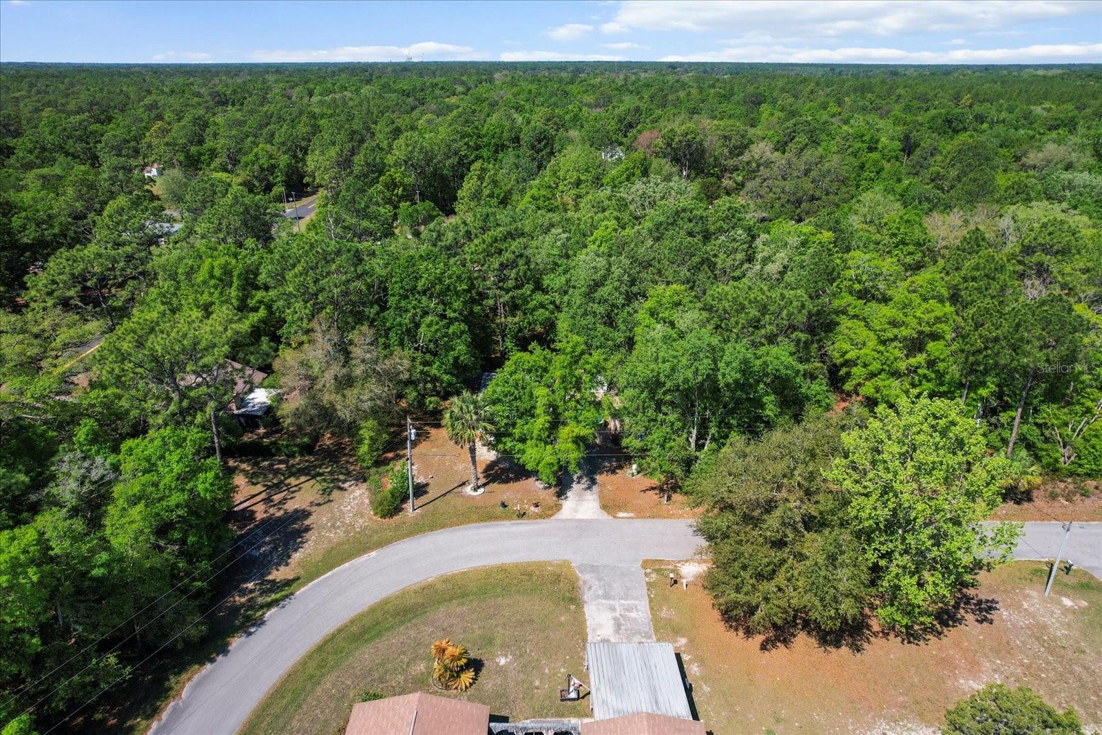8570 N DISCALFANI LOOP, CRYSTAL RIVER, FL, 34428