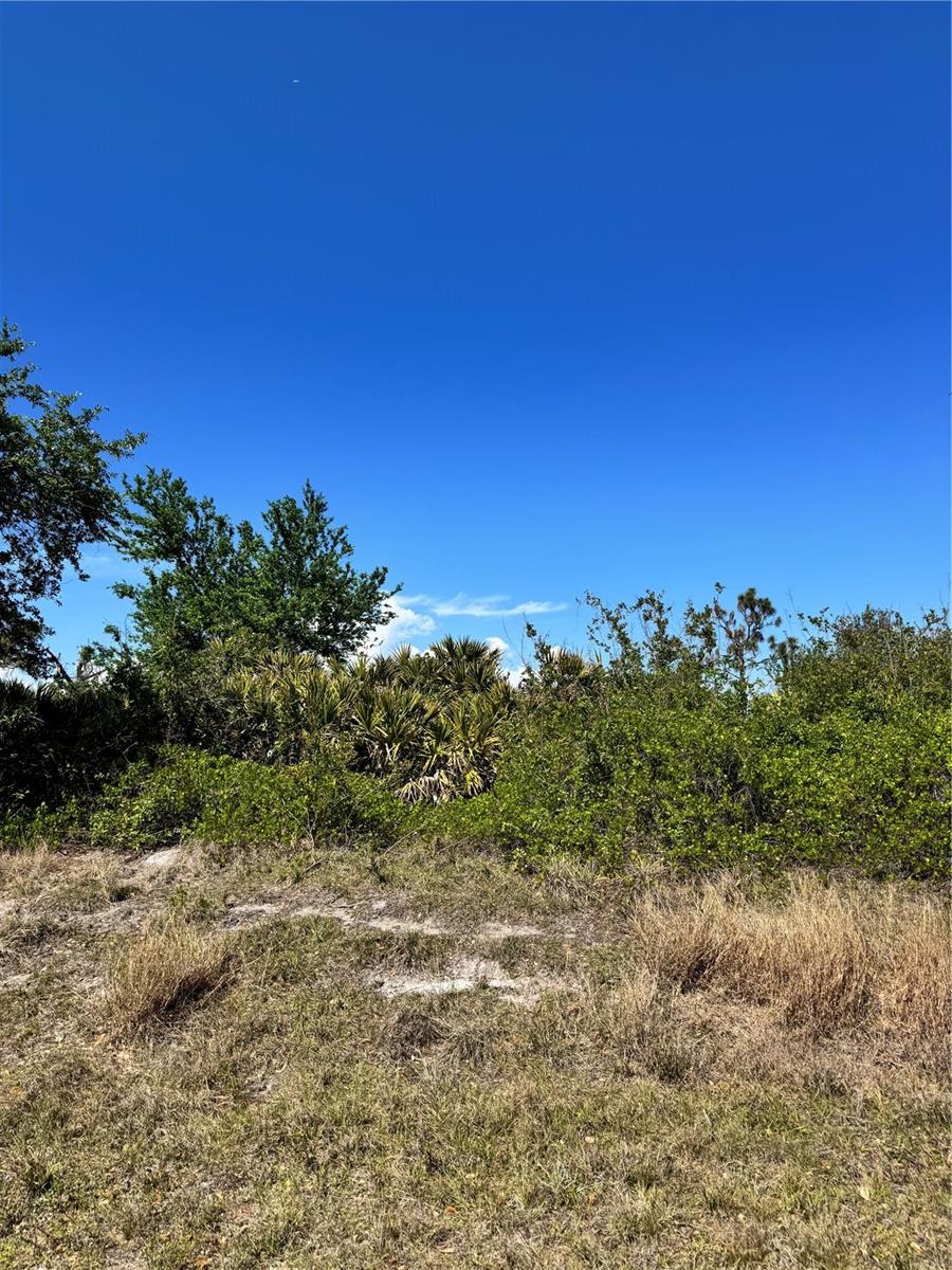 13871 BEGONIA CIR, PORT CHARLOTTE, FL, 33981