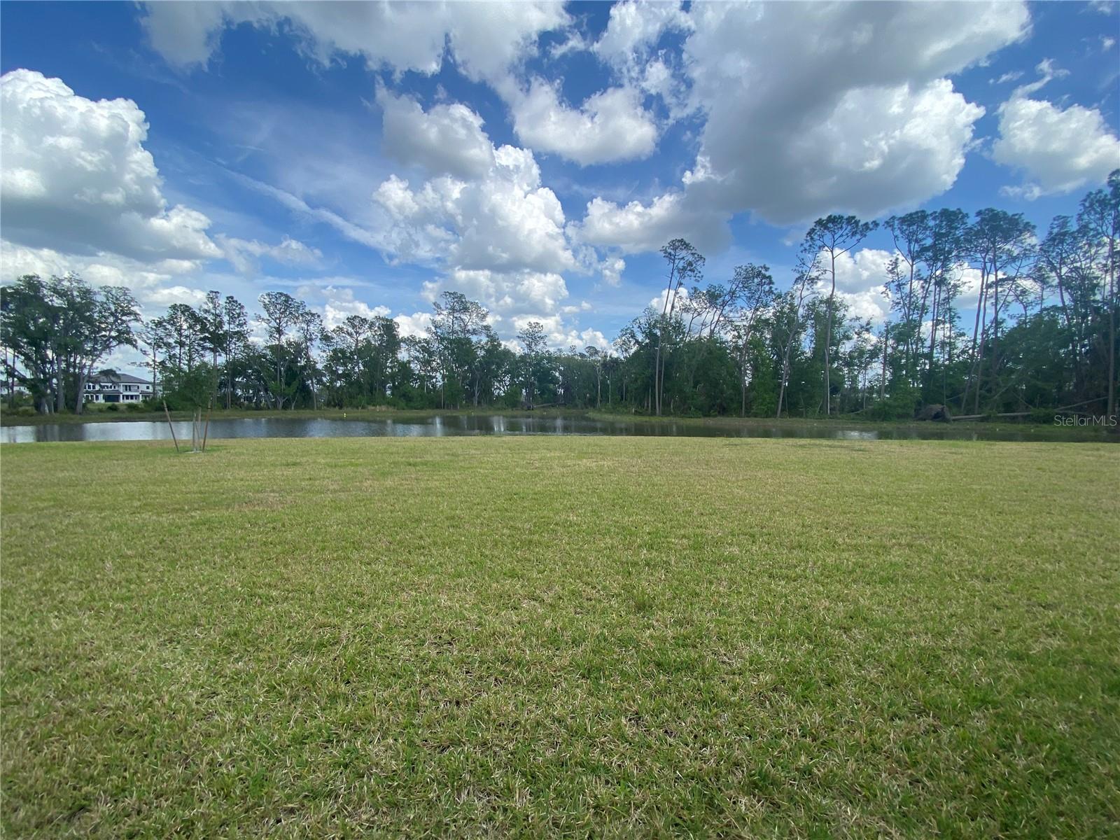 33857 LANDSMAN LOOP, WESLEY CHAPEL, FL, 33543