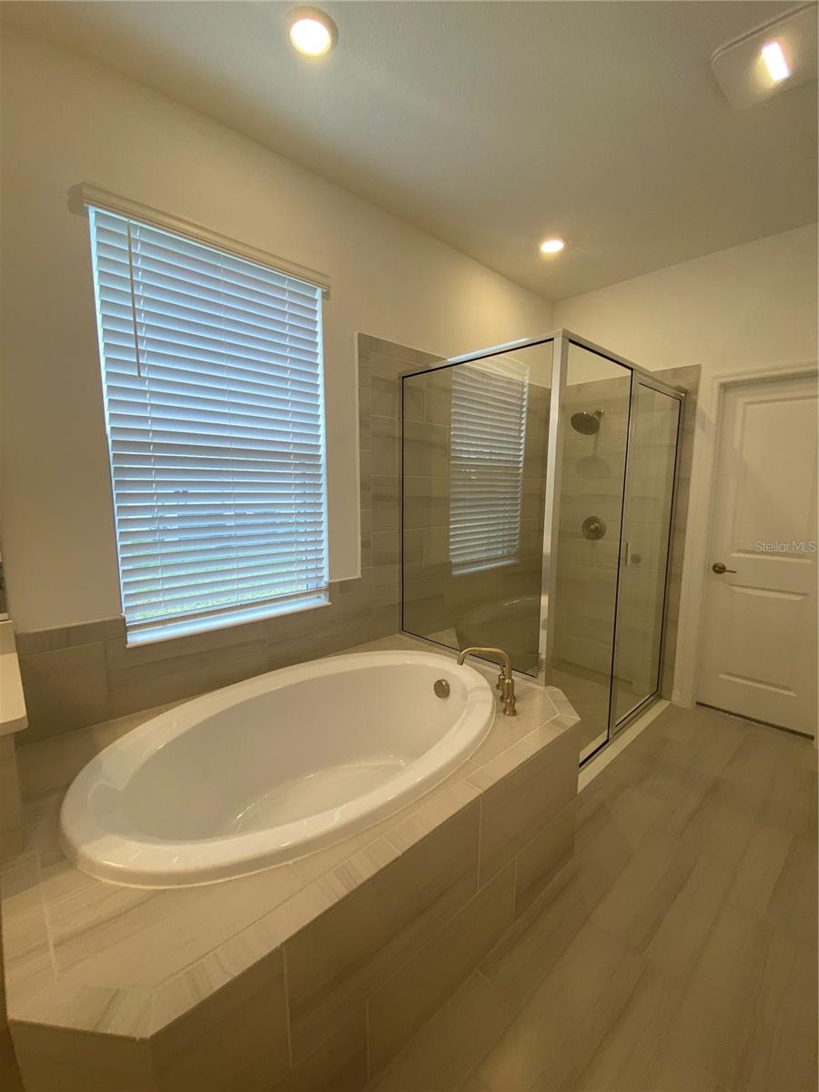 33857 LANDSMAN LOOP, WESLEY CHAPEL, FL, 33543