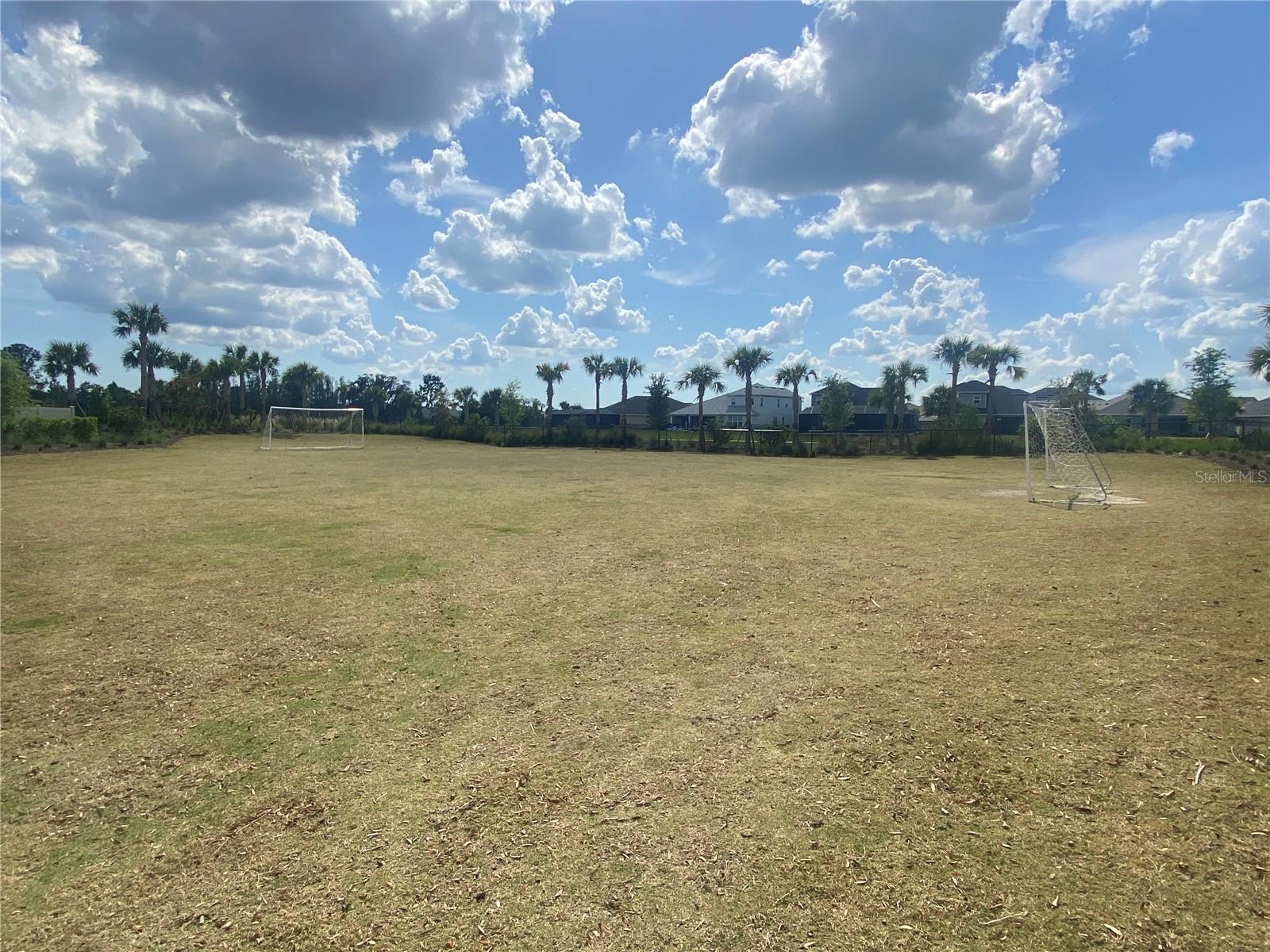 33857 LANDSMAN LOOP, WESLEY CHAPEL, FL, 33543