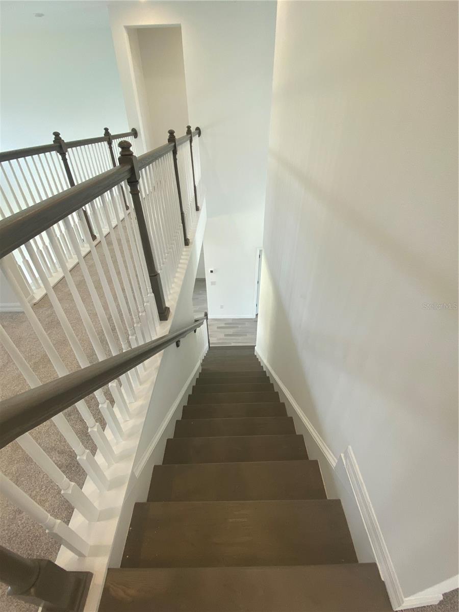 33857 LANDSMAN LOOP, WESLEY CHAPEL, FL, 33543