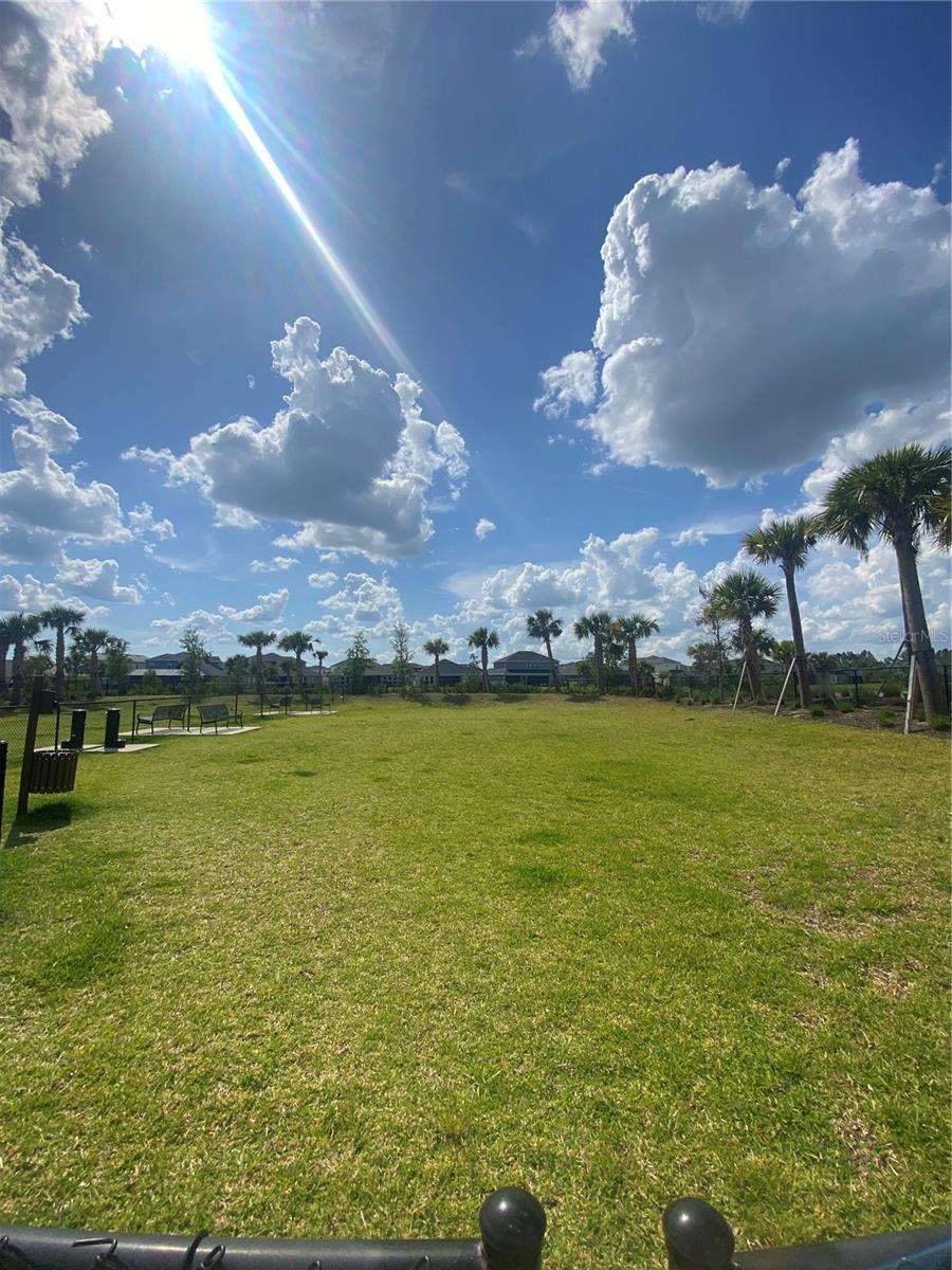 33857 LANDSMAN LOOP, WESLEY CHAPEL, FL, 33543