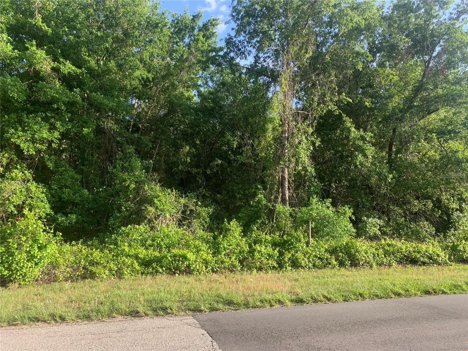 EMPIRE CHURCH RD, GROVELAND, FL, 34736