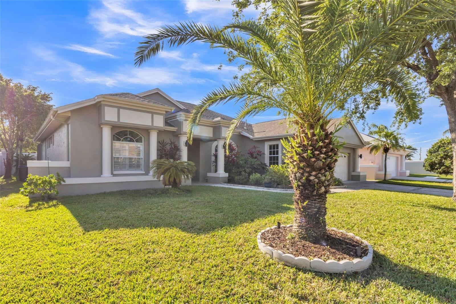 1647 STABLE TRL, PALM HARBOR, FL, 34685