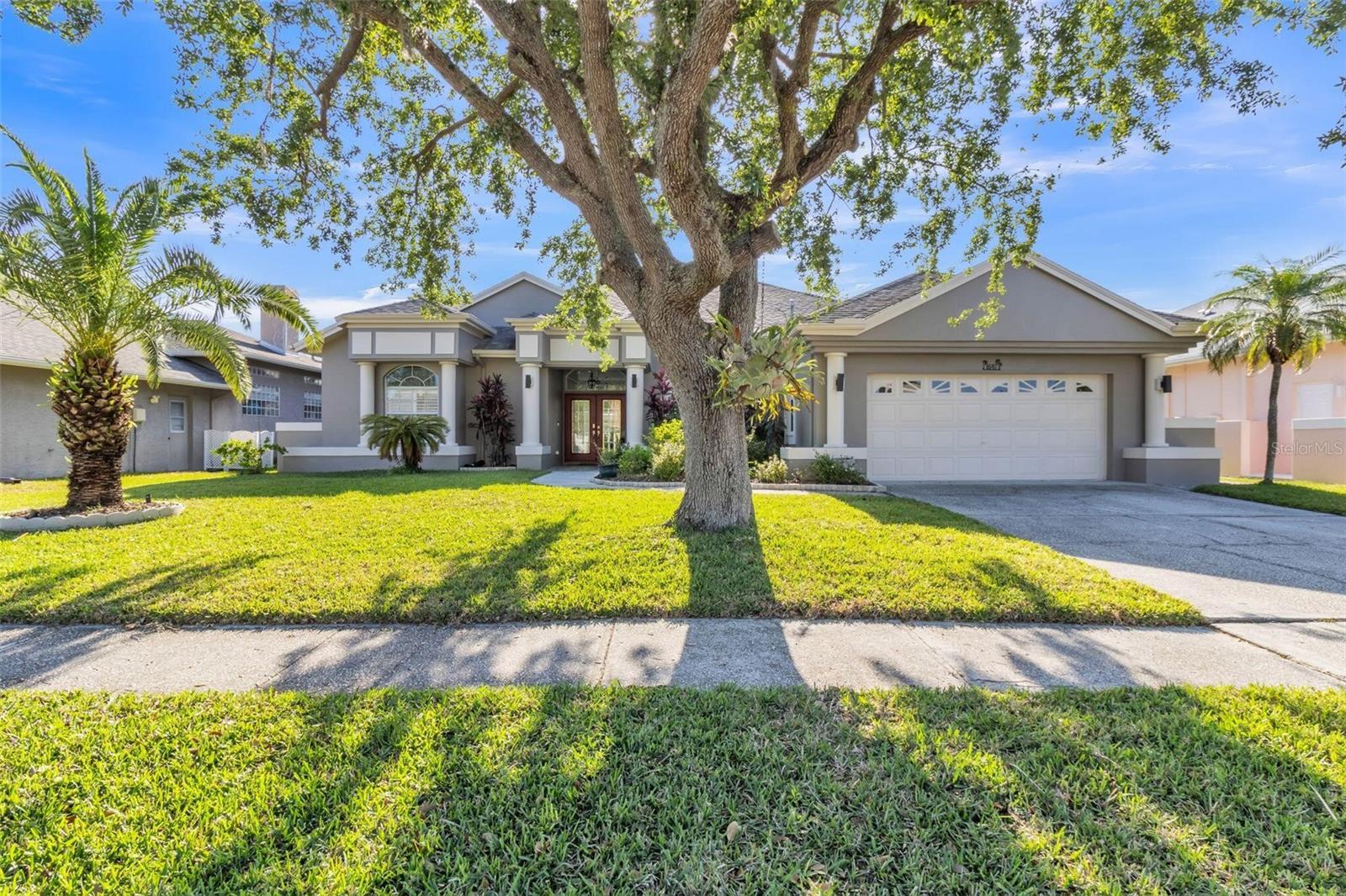 1647 STABLE TRL, PALM HARBOR, FL, 34685