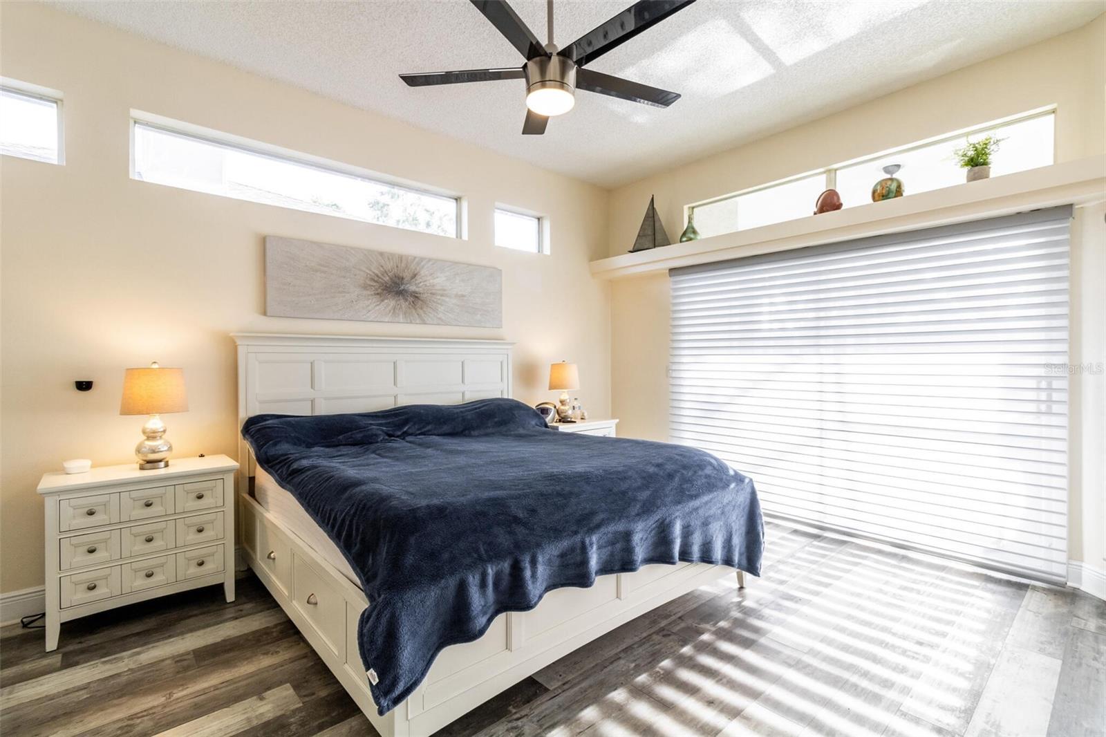1647 STABLE TRL, PALM HARBOR, FL, 34685