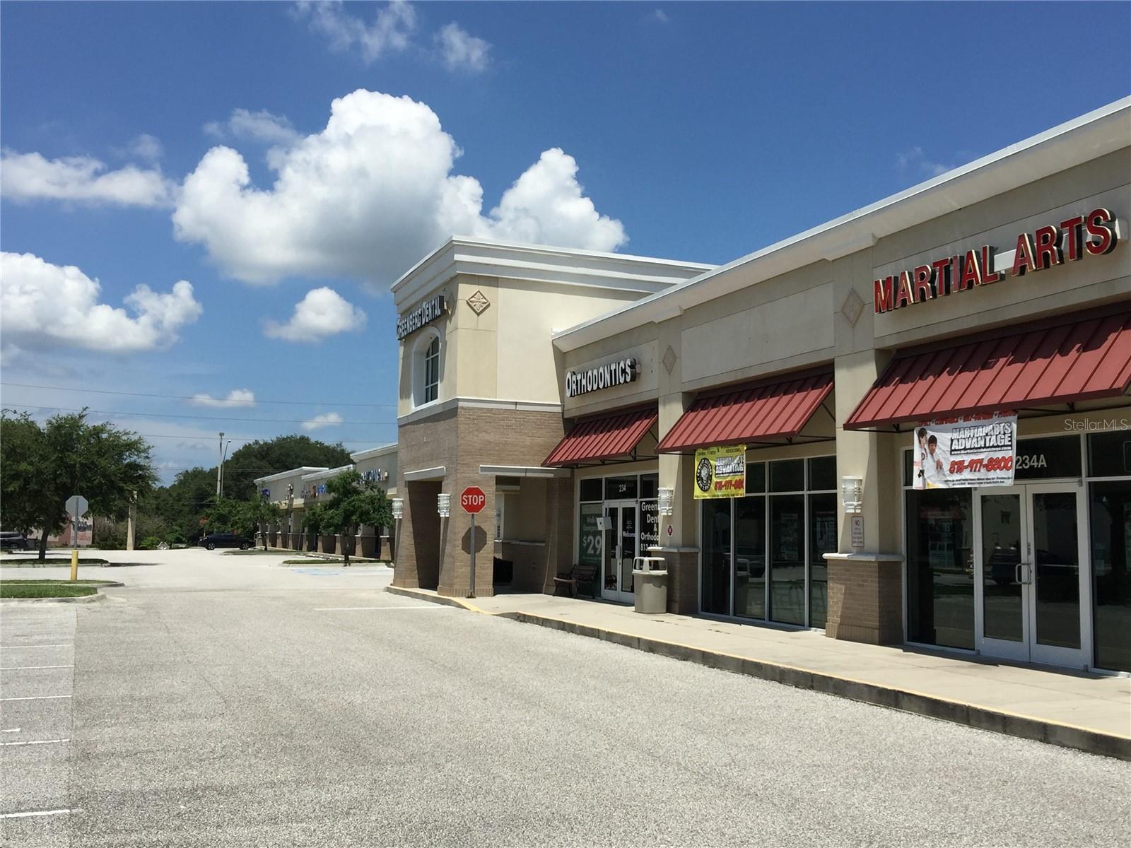 202 E BEARSS AVE #238, TAMPA, FL, 33613