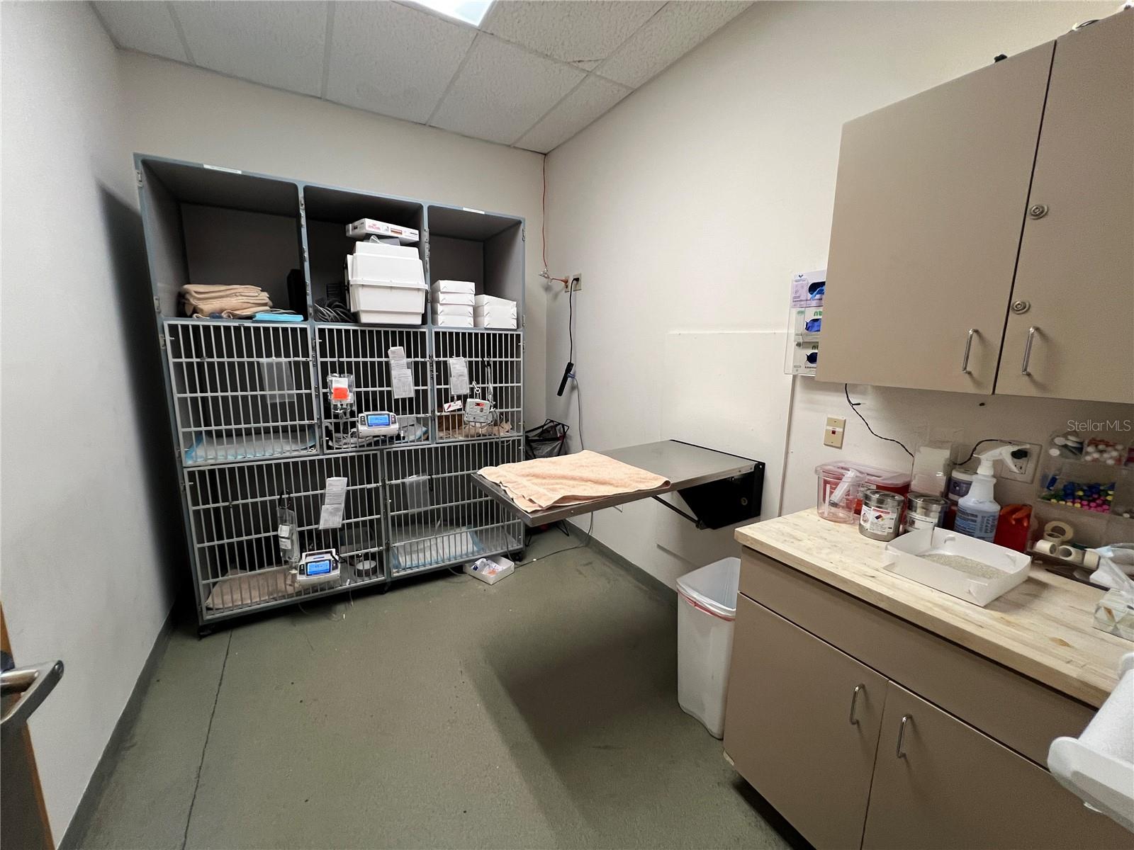 202 E BEARSS AVE #238, TAMPA, FL, 33613