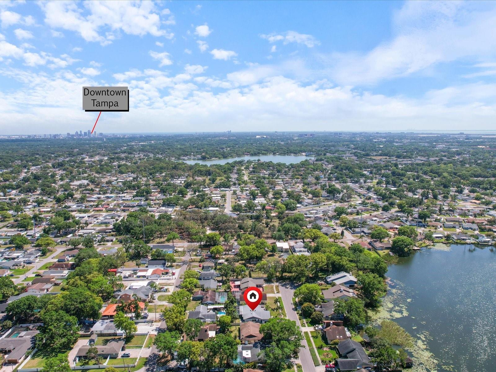 8305 PALMA VISTA LN, TAMPA, FL, 33614
