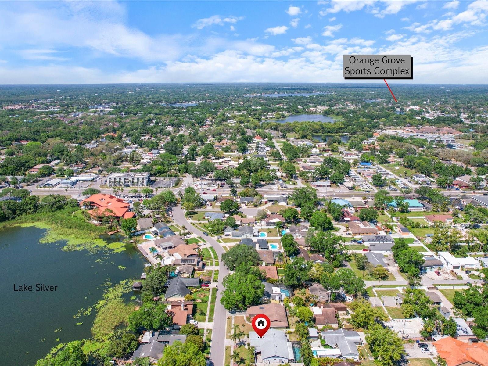 8305 PALMA VISTA LN, TAMPA, FL, 33614