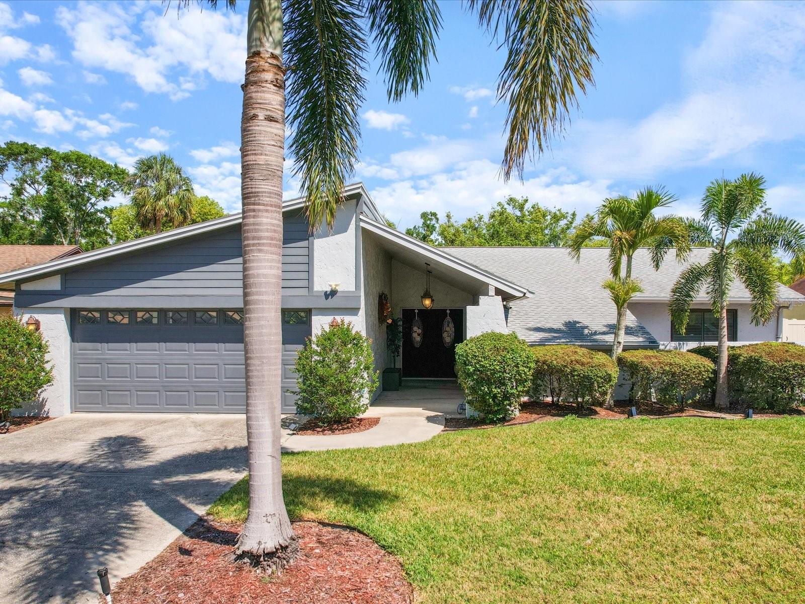 8305 PALMA VISTA LN, TAMPA, FL, 33614