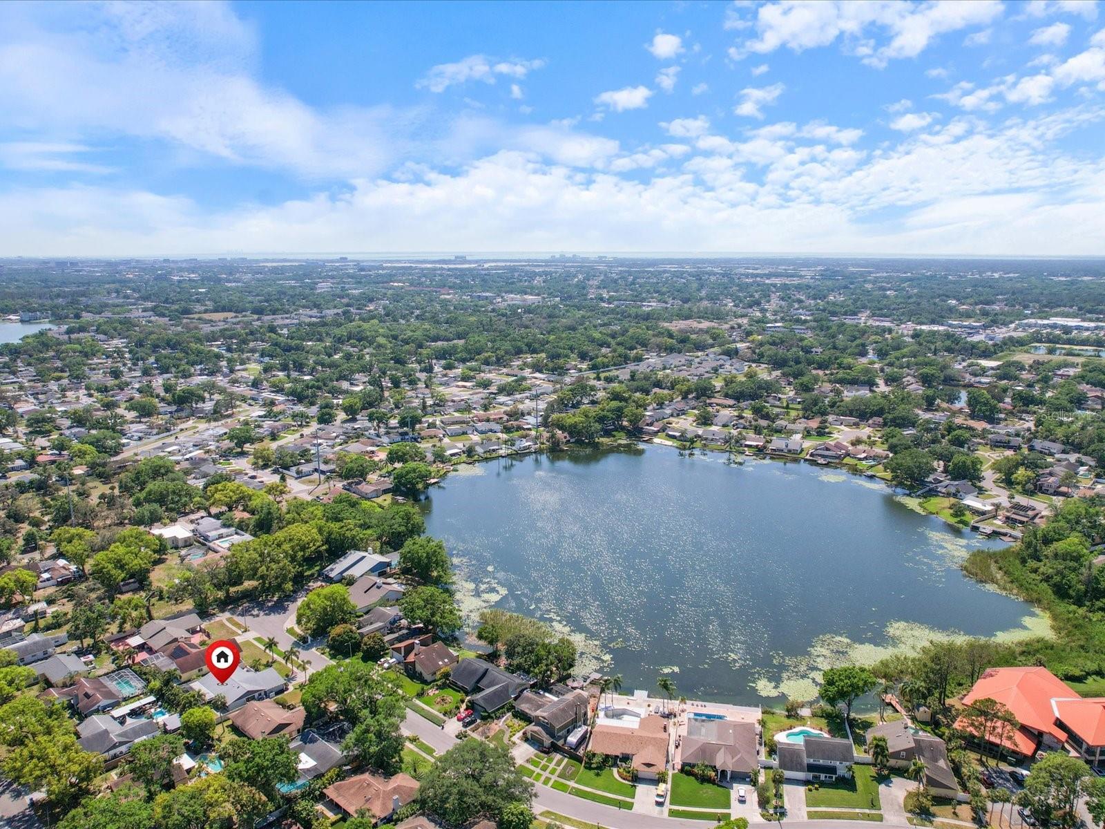 8305 PALMA VISTA LN, TAMPA, FL, 33614