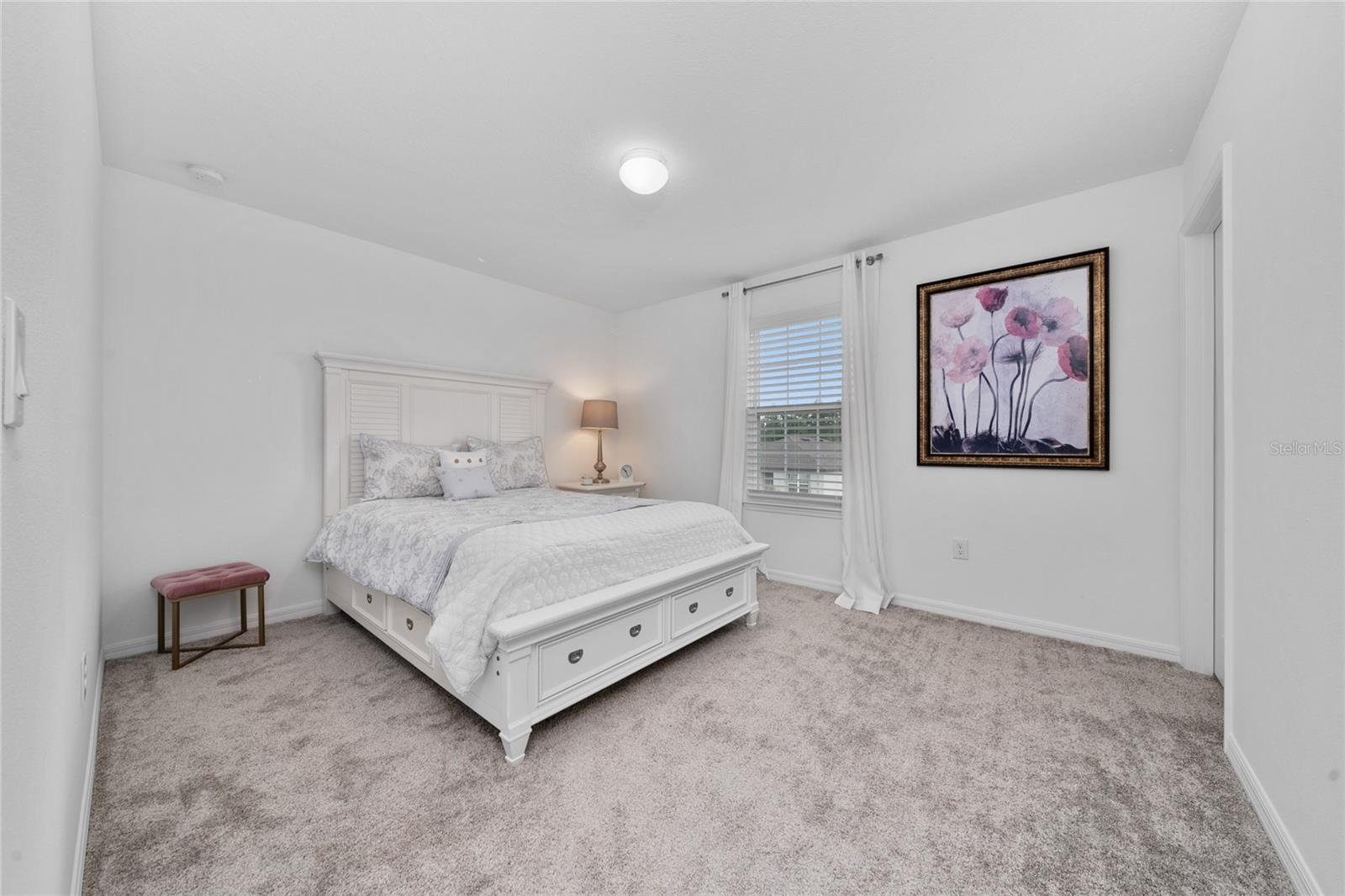 3884 CAPRI COAST DR, PLANT CITY, FL, 33565