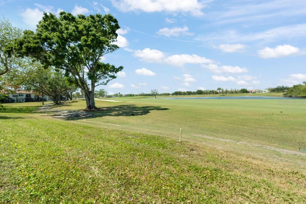 2017 SKIMMER CT W #416, CLEARWATER, FL, 33762