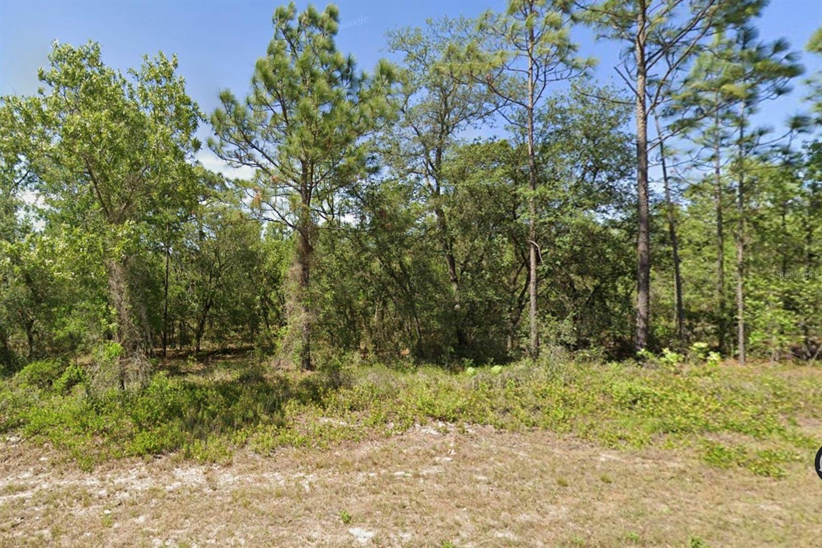 00 SW MARINE BLVD, DUNNELLON, FL, 34431