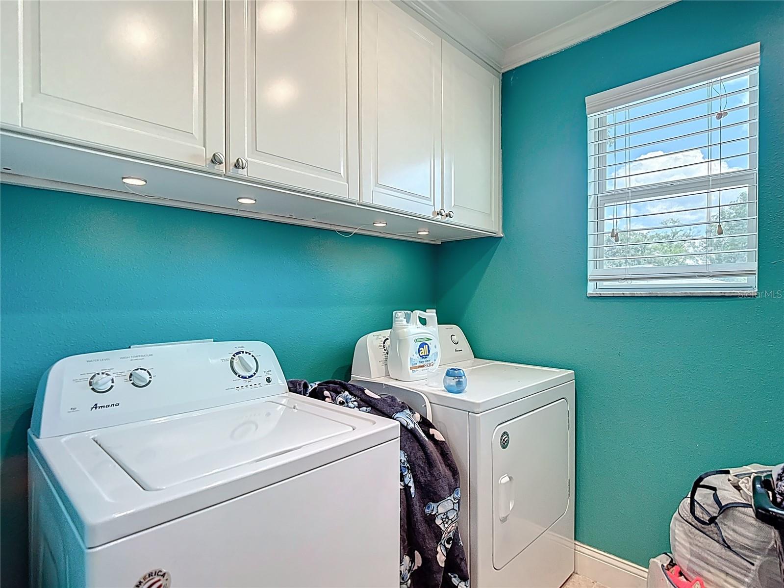 1105 CANYON OAKS DR, BRANDON, FL, 33510