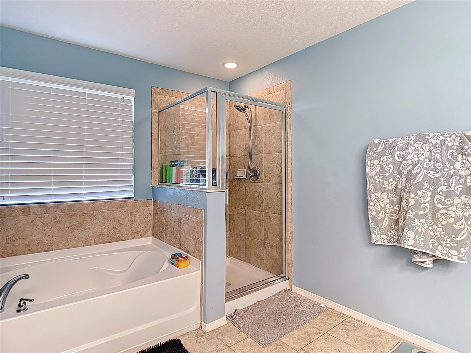 1105 CANYON OAKS DR, BRANDON, FL, 33510