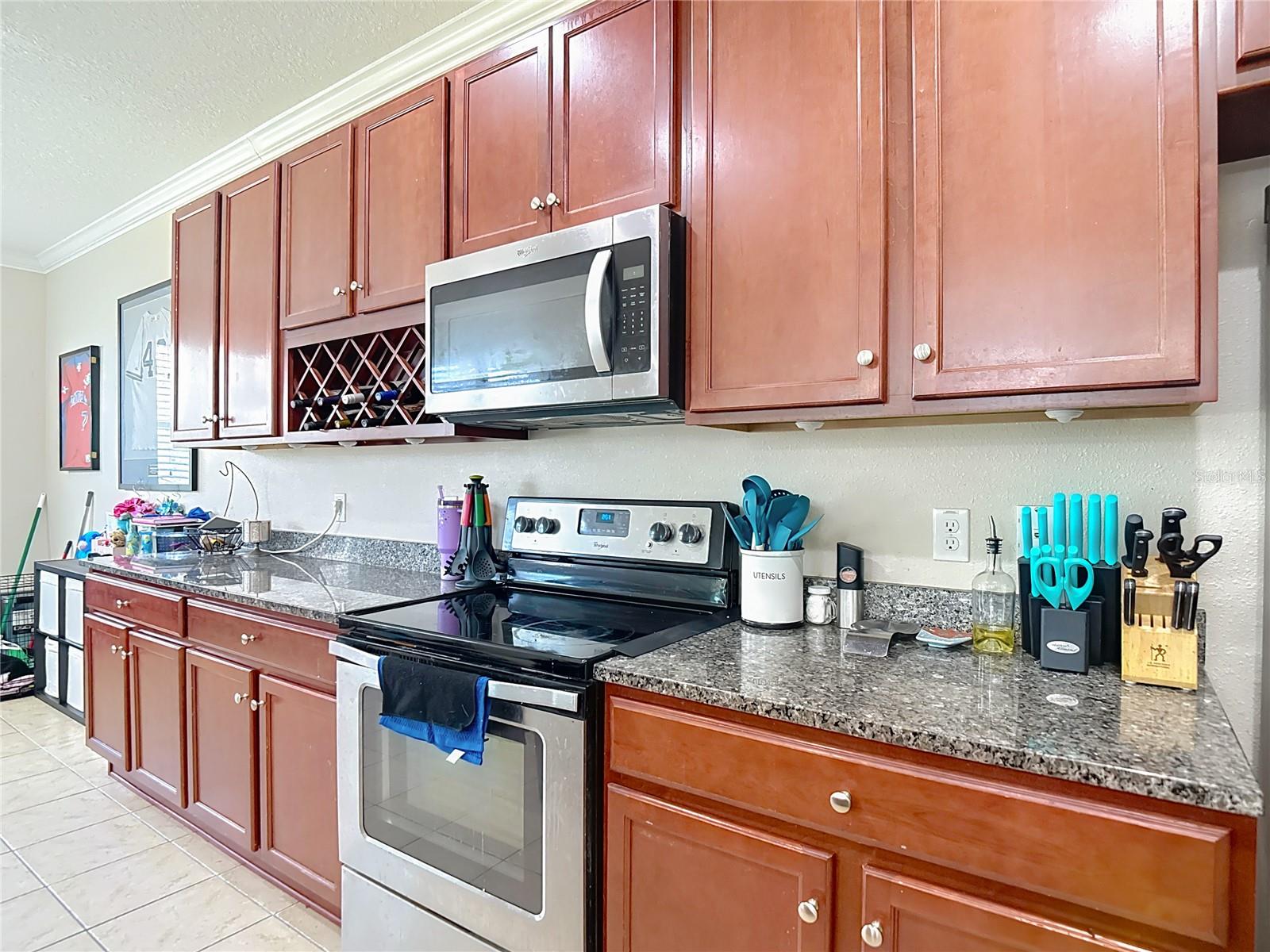 1105 CANYON OAKS DR, BRANDON, FL, 33510