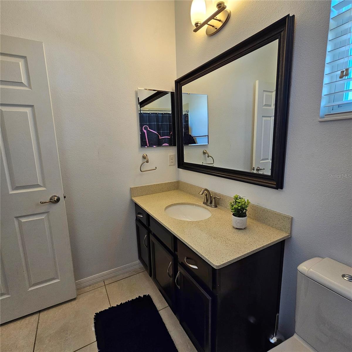 3301 BETHPAGE LOOP, MOUNT DORA, FL, 32757